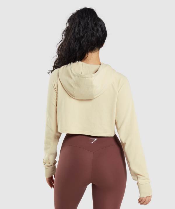 Damske Mikiny S Kapucňou Gymshark Training Cropped Hnede | AR5047928